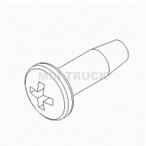 HDW09559 Screw, 1/4